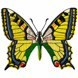 Butterfly Embroidery Design 2 Butterfly Embroidery Design 2